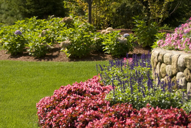 Gardening Care Cape Cod