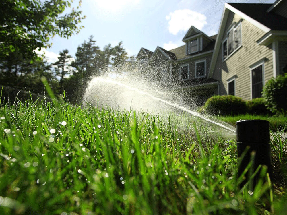 Innovative Elements in High-End Landscape Design