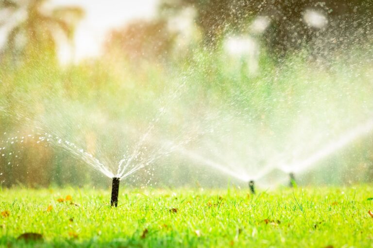 How to Properly Water Your Lawn for Lush, Healthy Grass - Outerland