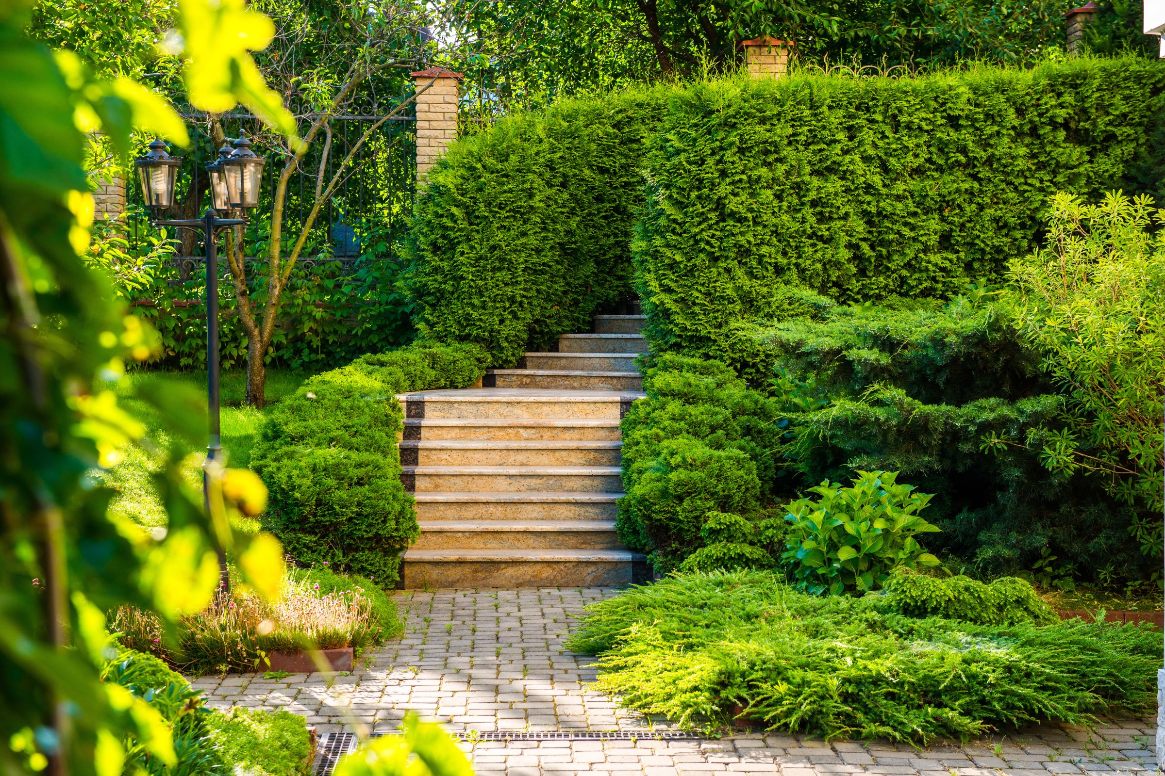 Cape Cod Landscape Design Ideas for 2025