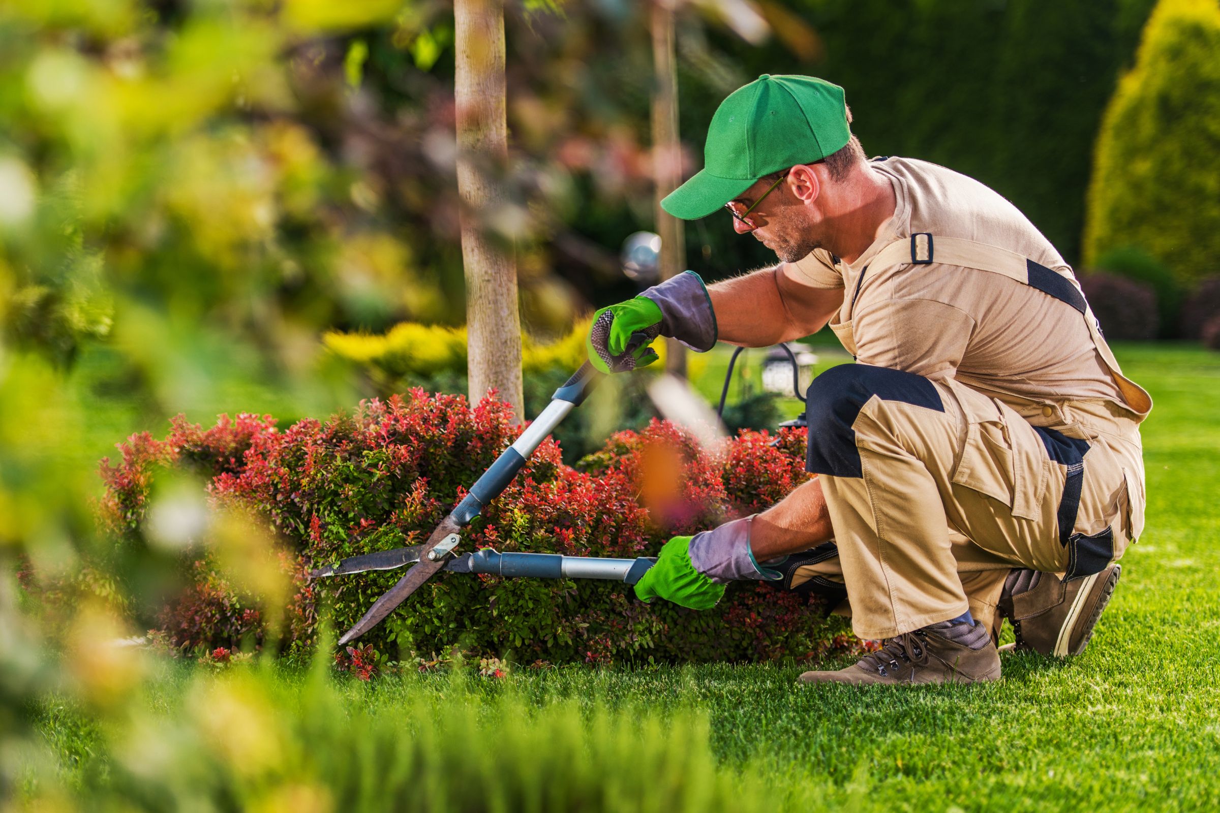 Busy Seniors Choose Us For Landscaping: Bourne, MA & Cape Cod