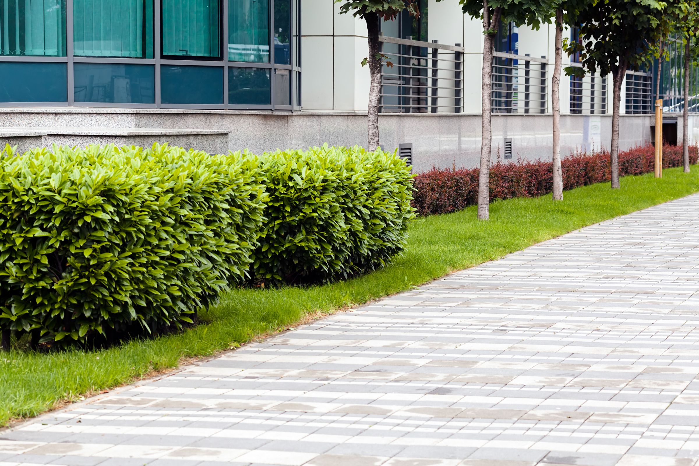 Hire Commercial Property Landscaping Services to Look Your Best