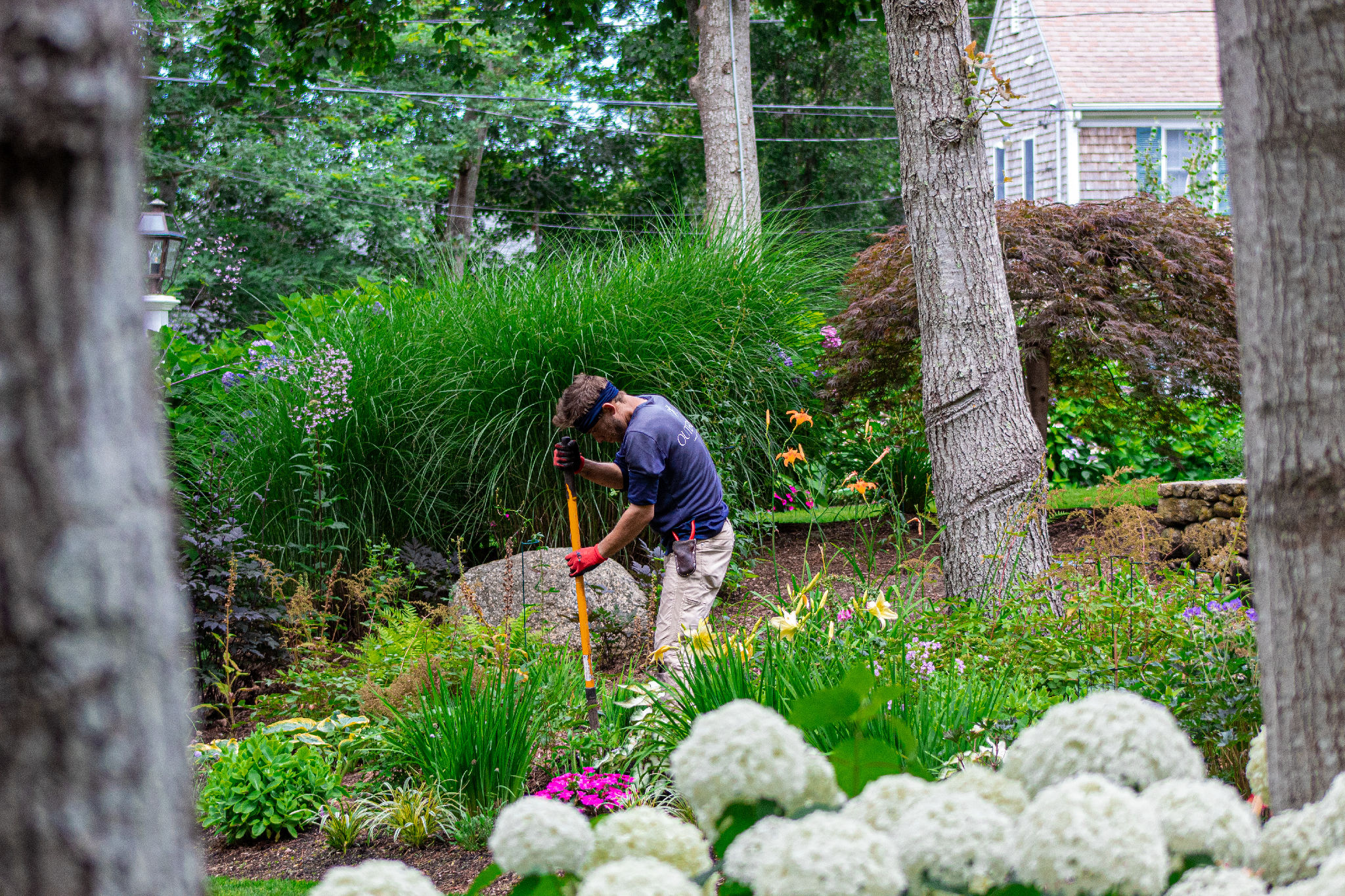 Gardening Care Cape Cod