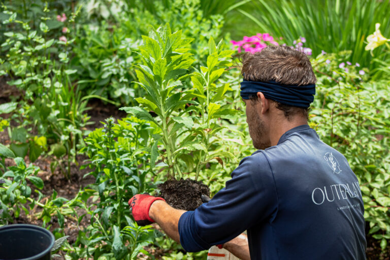 Gardens-on-Homepage-768x512