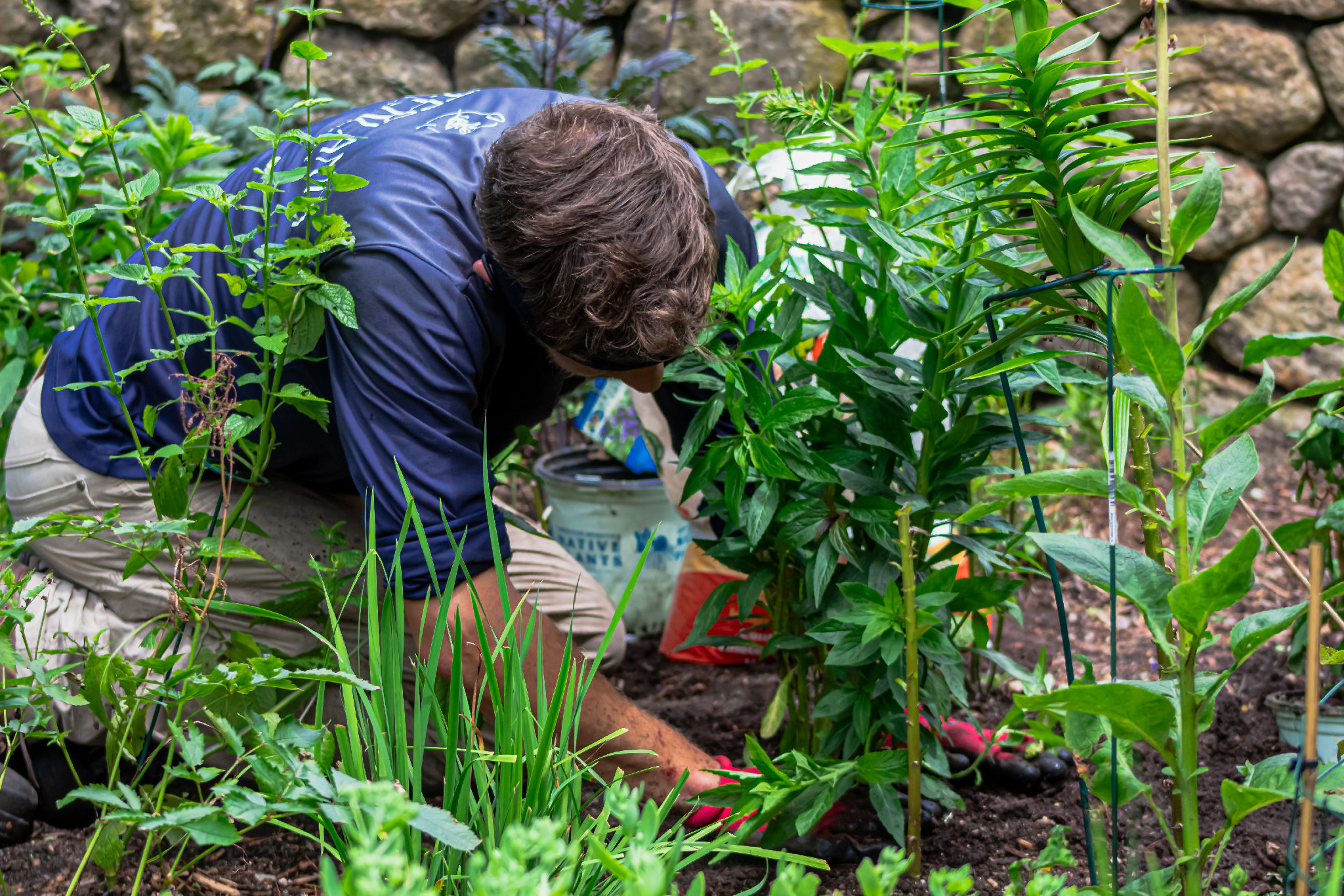 Gardening Services Cape Cod