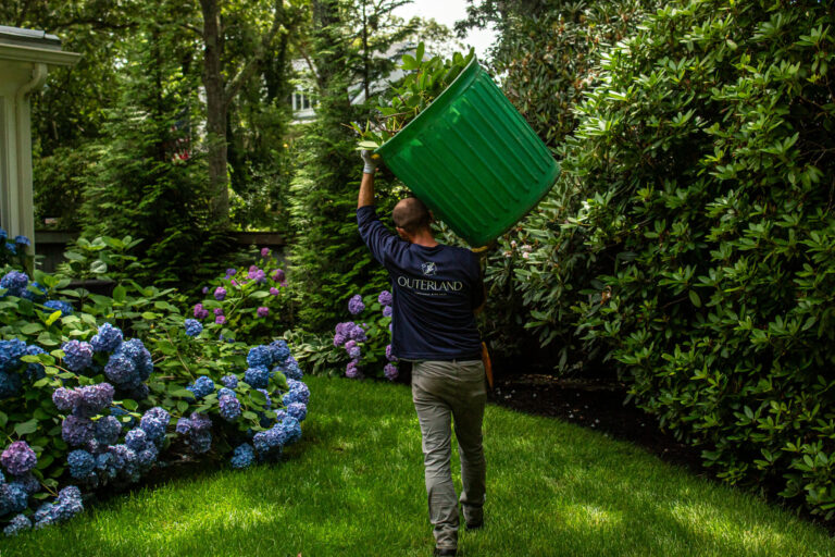 Seasonal-Maintenance-Landing-Page-1-768x512