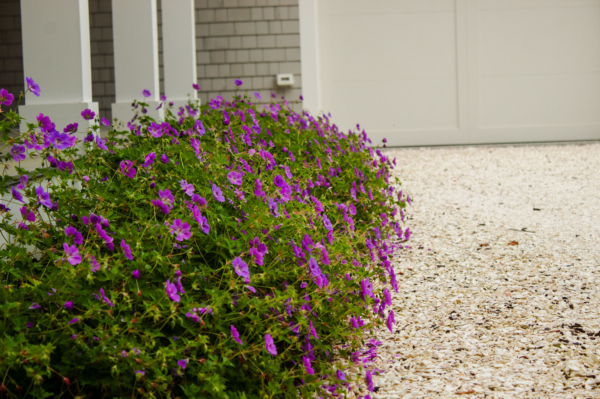 Sustainable Elegance: Eco-Friendly Practices in Premium Landscaping