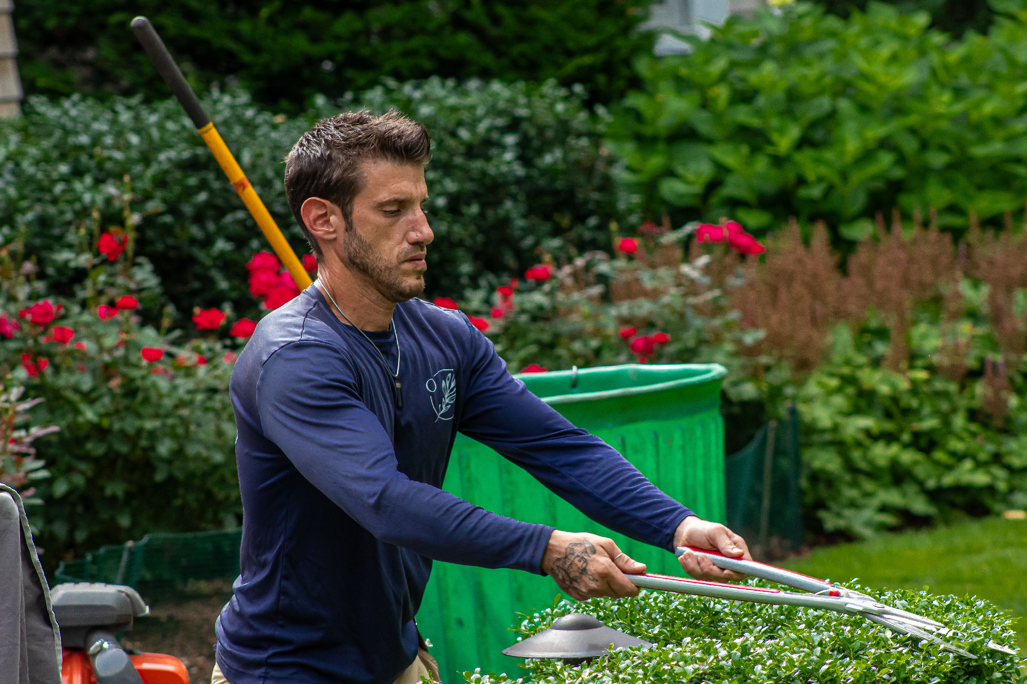 Gardening Care Cape Cod