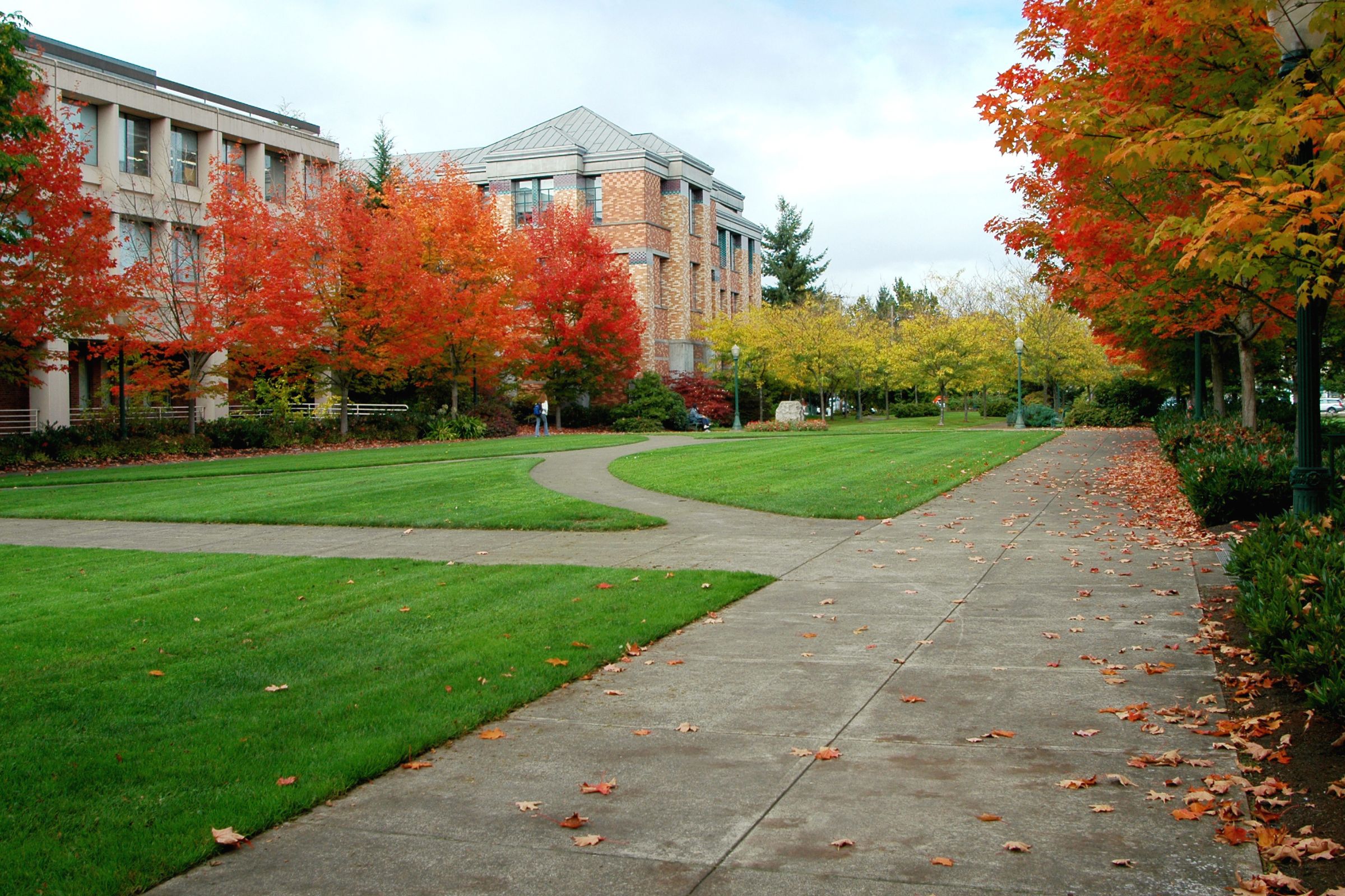 How to Create a Maintenance Plan for Estates and Campuses