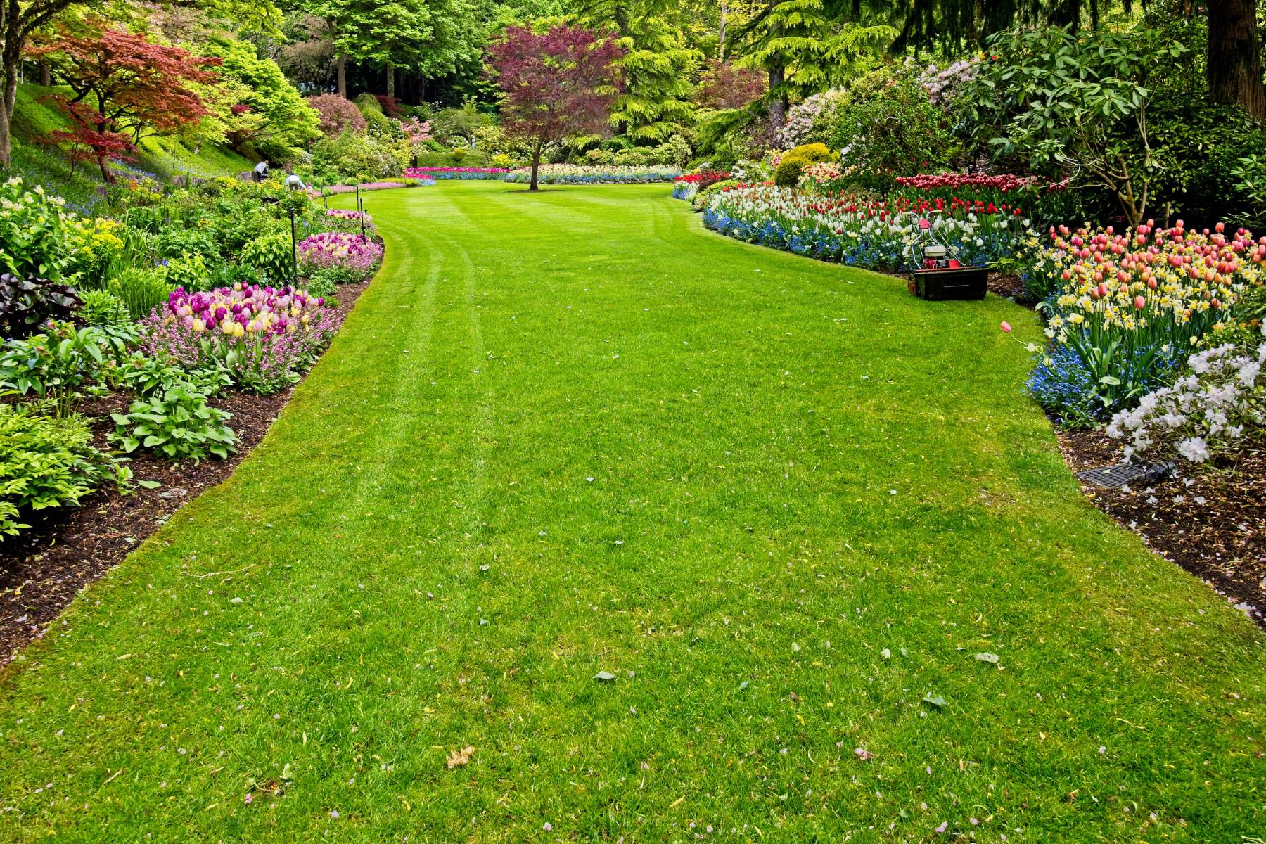 Sustainable Landscaping Trends in Cape Cod, MA: What Top Designers Are Doing in 2026