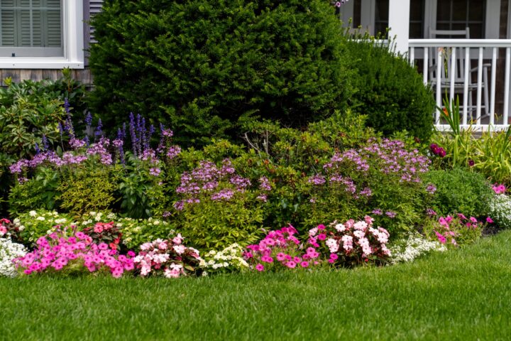 Bass River, South Yarmouth landscaping project, photo 3 of 6
