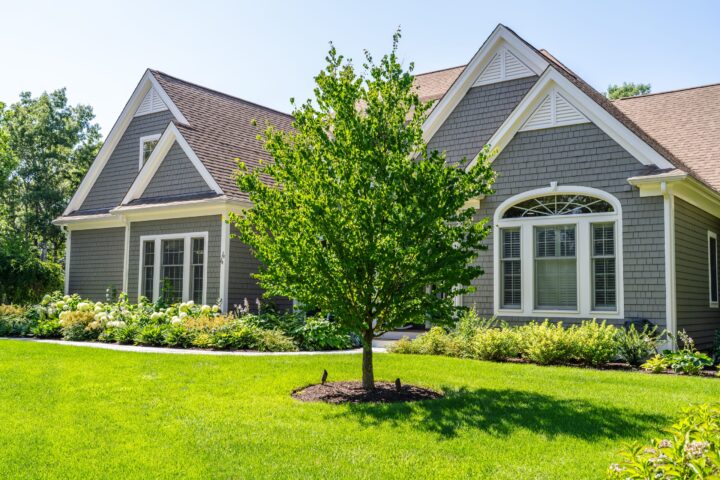 Eagle Drive, Mashpee landscaping project, photo 4 of 14