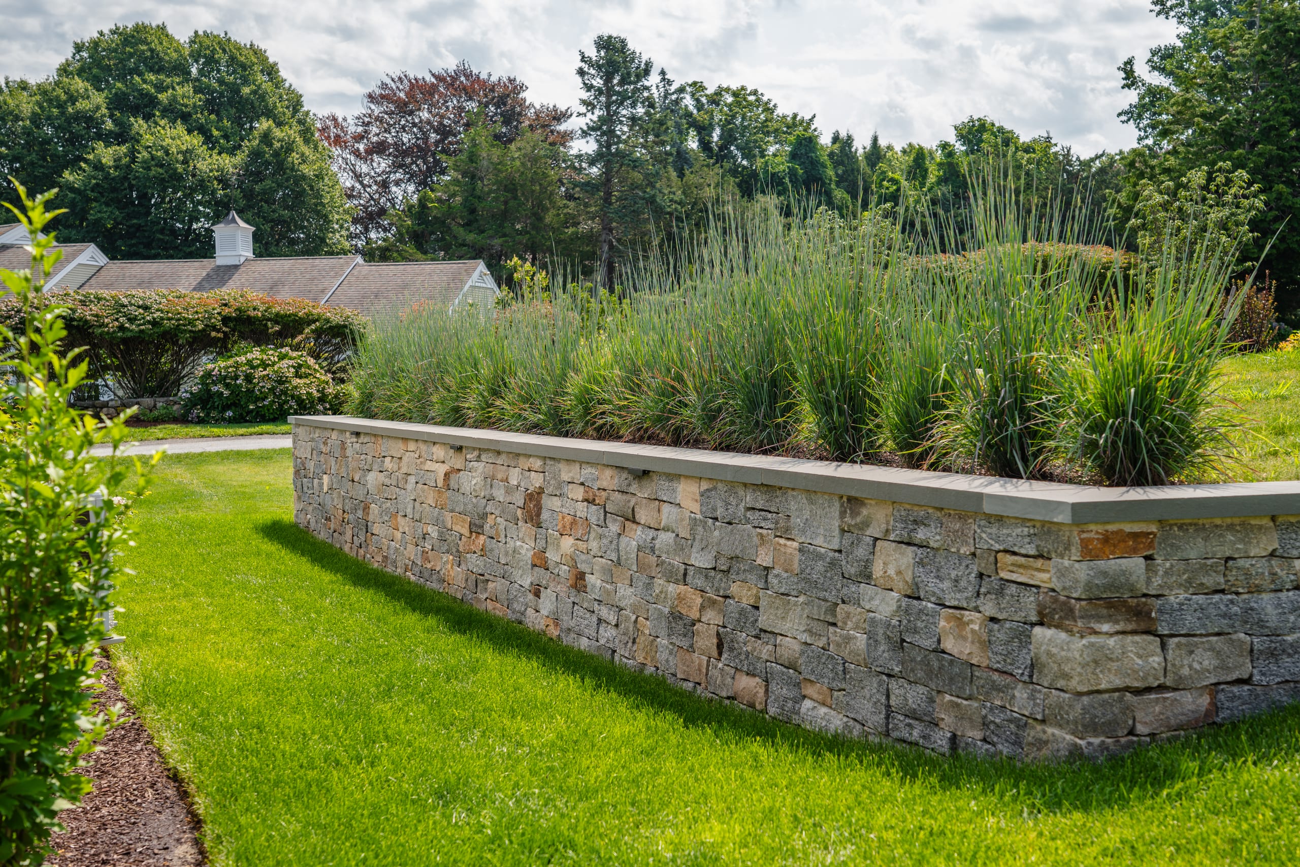Harris Meadow Lane, Barnstable landscaping project, photo 13 of 13
