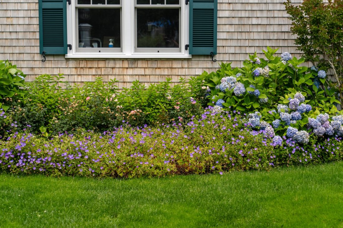 Rendezvous Lane, Barnstable landscaping project, photo 1 of 7