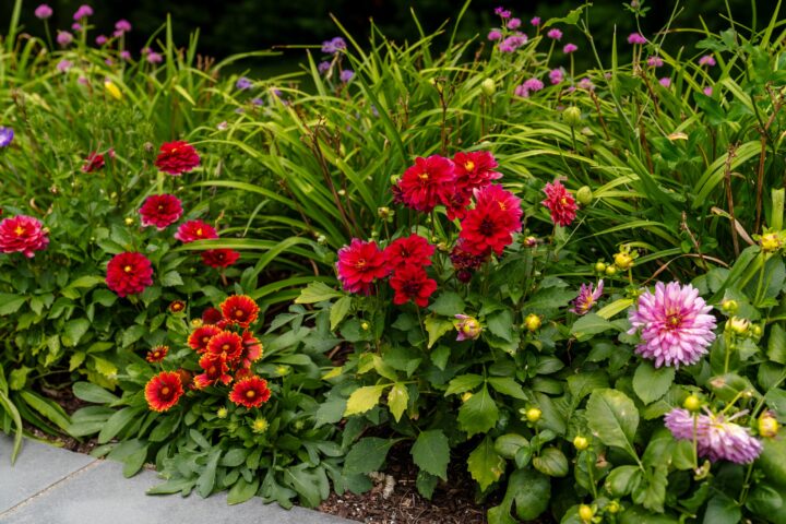 Rendezvous Lane, Barnstable landscaping project, photo 3 of 7