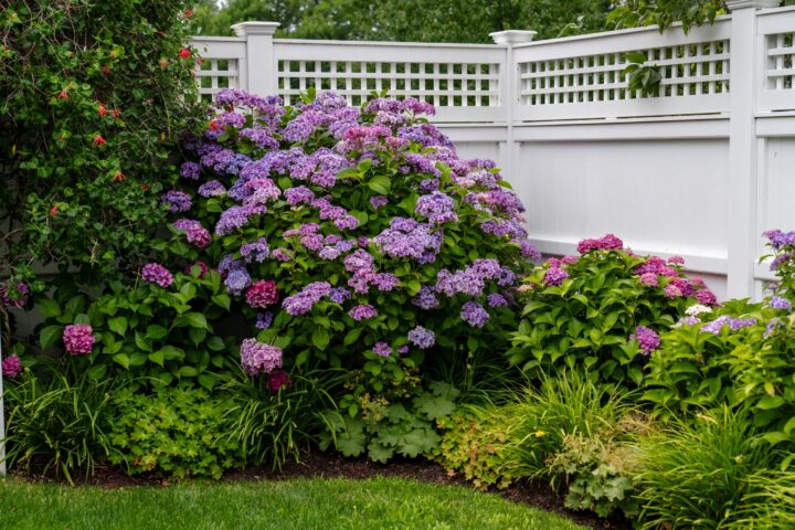 Rendezvous Lane, Barnstable landscaping project, photo 4 of 7